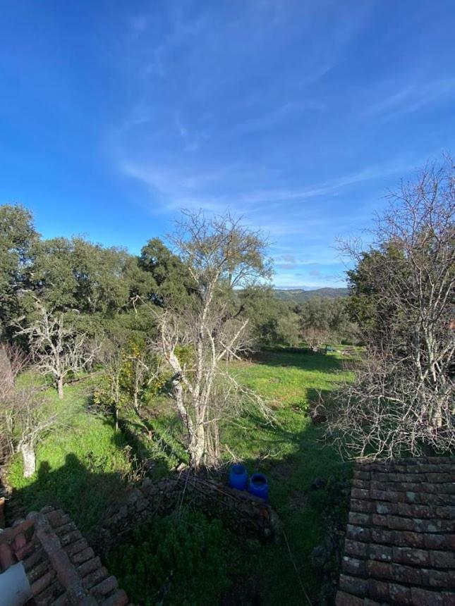 Espaciosa Y Elegante Casa Rural En Los Marines Exteriör bild